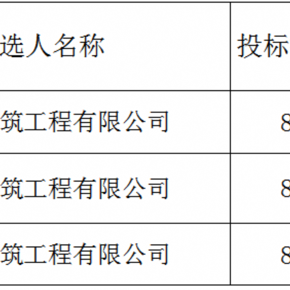 2023年度郓城县武安镇结余资金基础设施项目 中标候选人公示